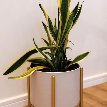 в центрі Διαμέρισμα Shaian