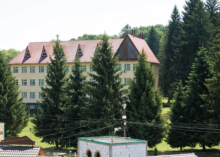 Daire в центрі