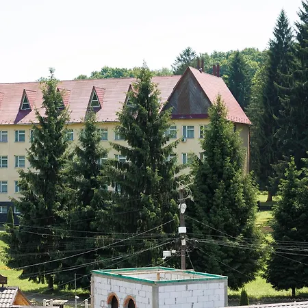 Daire в центрі
